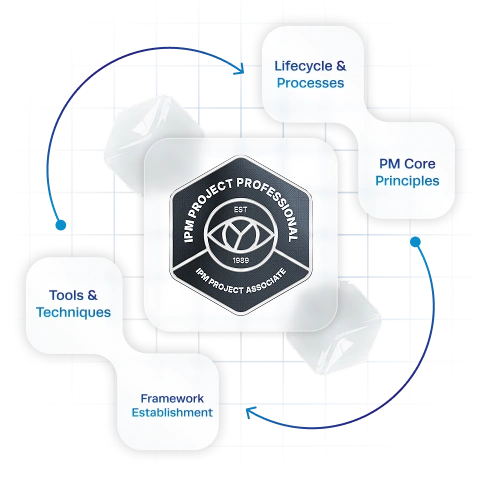 06 - IPM Project Associate